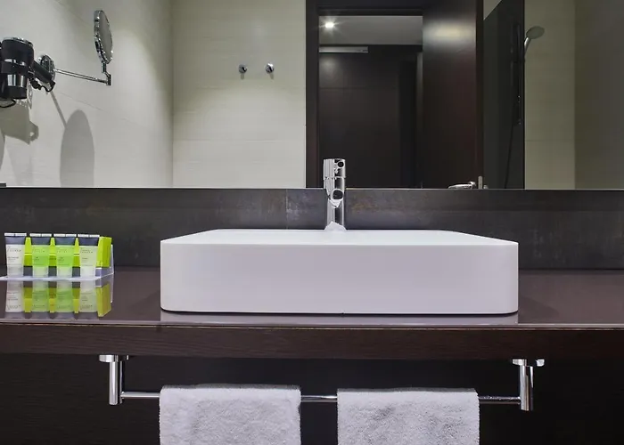 Hotel Silken Gran Teatro Burgo